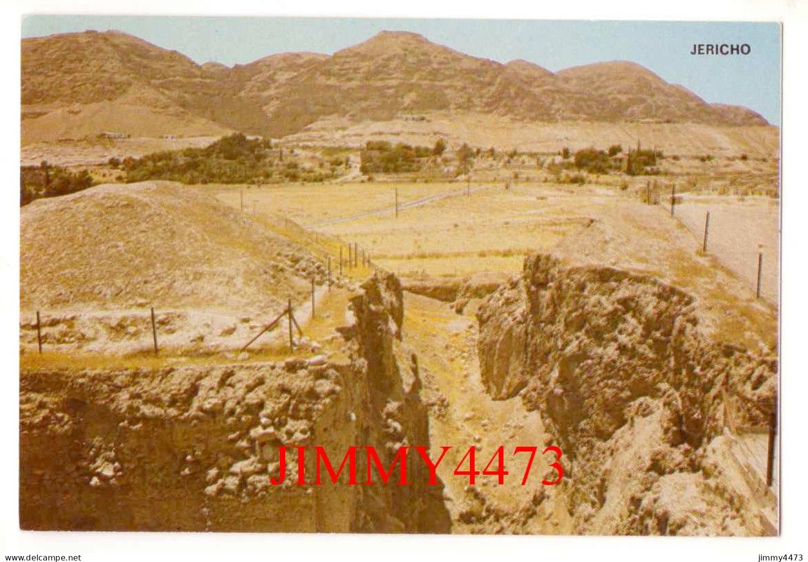 CPA - JERICHO ( Cisjordanie Palestine ) Edit. I. Amad - Palestine