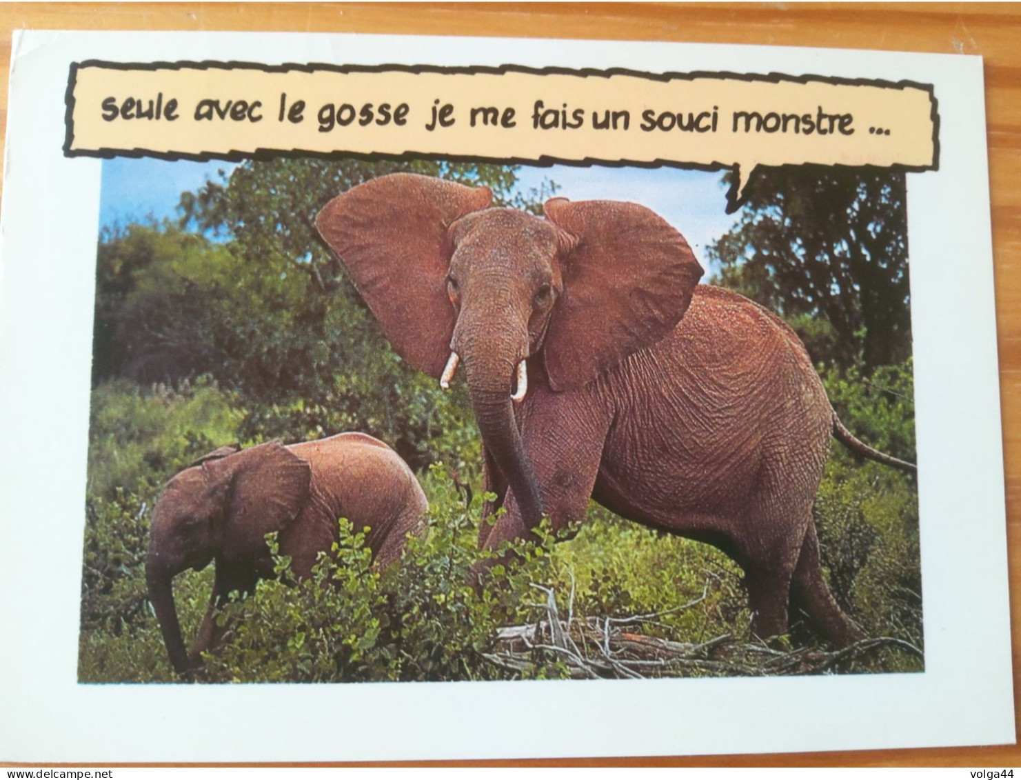 CP - Éléphants - Elephants