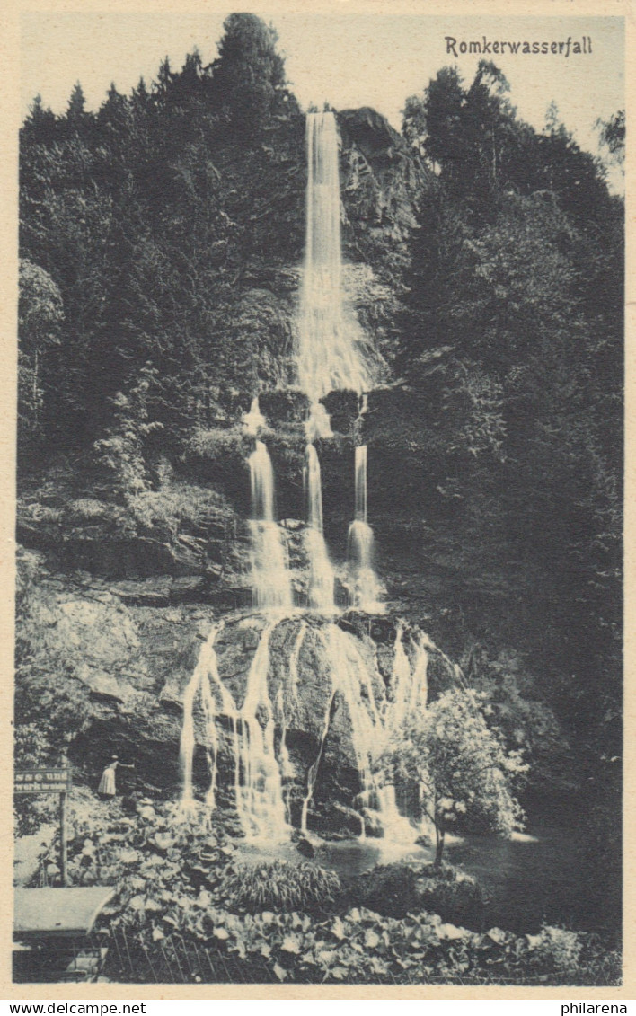 Ansichtskarte Romkerwasserfall Dresden, Bahnpost 1911 Braunschweig-Harzburg - Covers & Documents