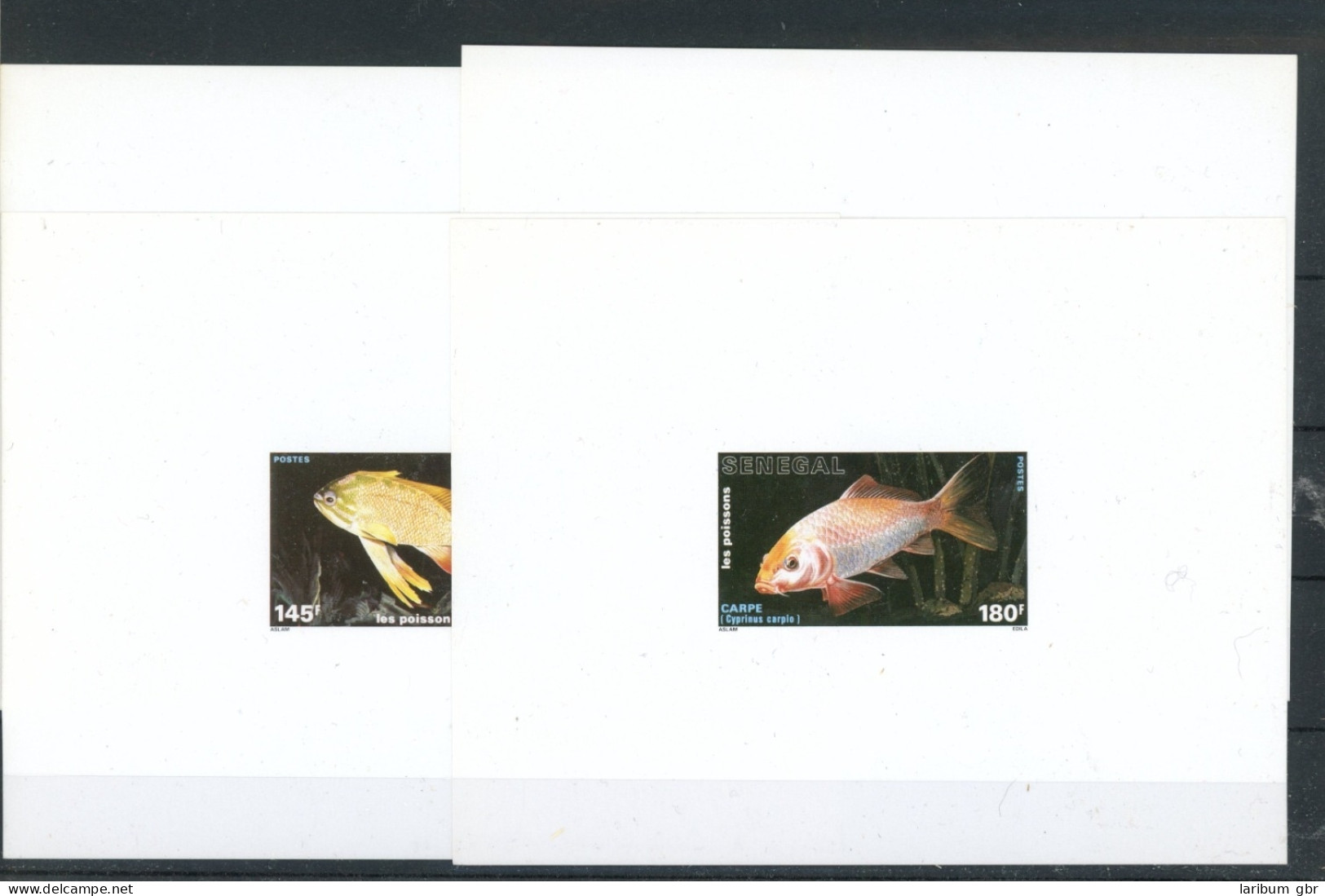 Senegal Einzelblöcke 960-963 B Postfrisch Fische #JL299 - Senegal (1960-...)