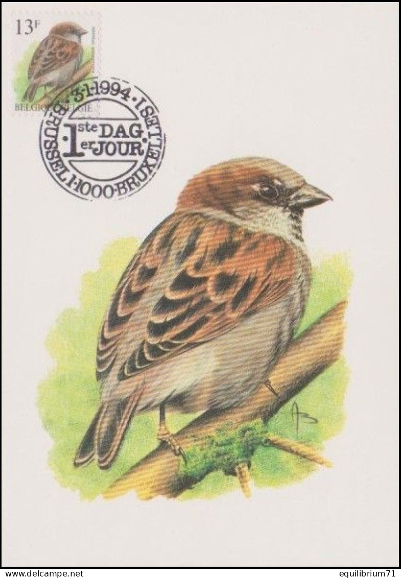 CM/MK - 2533° - Moineau Domestique / Huismus / Haussperling / House Sparrow - BSL-BXL - 03/01/1994 - BUZIN - 1985-.. Vögel (Buzin)