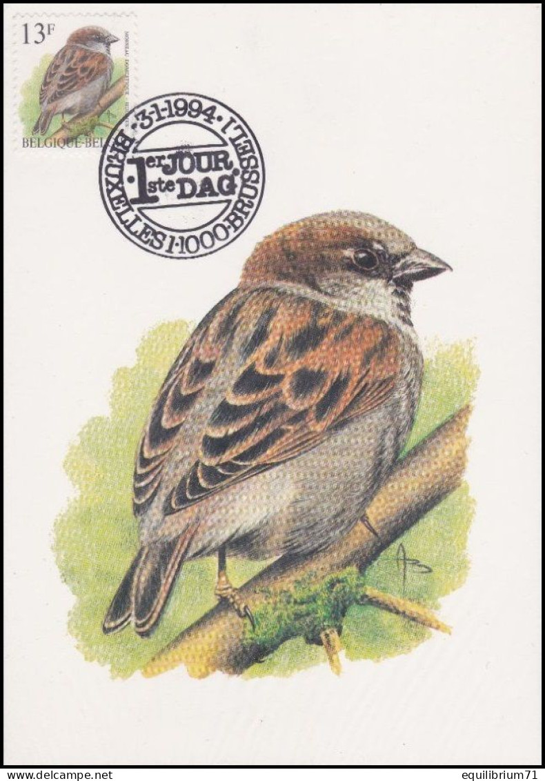 CM/MK - 2533° - Moineau Domestique / Huismus / Haussperling / House Sparrow - BXL-BSL - 3-1-1994 - BUZIN - 1985-.. Birds (Buzin)