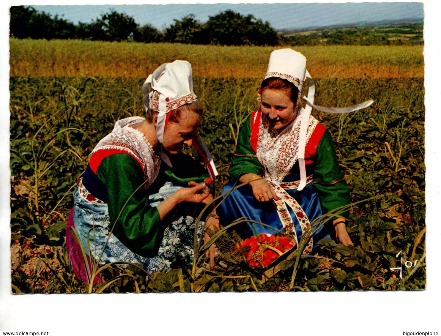 CPSM Jeunes Filles  De PLOUGASTEL DAOULAS - Plougastel-Daoulas