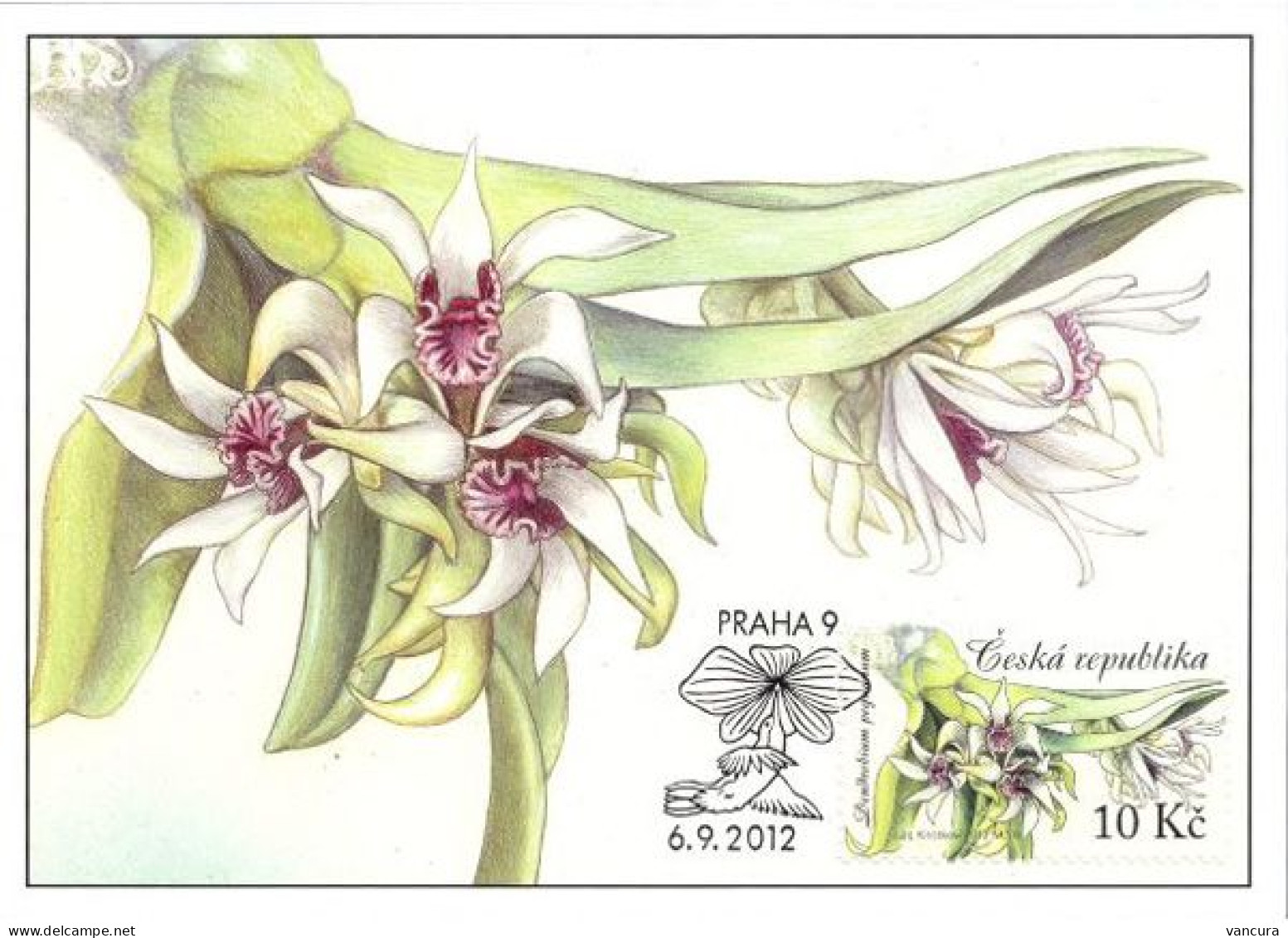 CM 730-3 Czech Republic ORCHIDS 2012 - Orchids