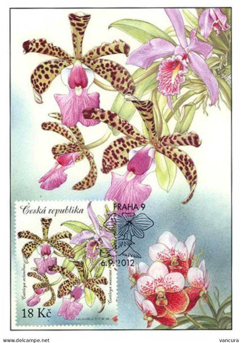 CM 730-3 Czech Republic ORCHIDS 2012 - Orchids