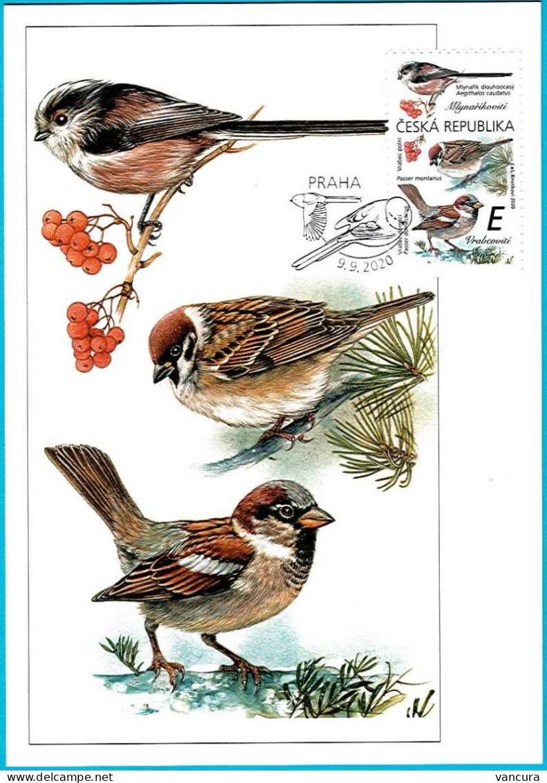 CM 1067-8, 1076-7, 1083-4 Czech Republic 2020 - Songbirds & Tree Dwellers