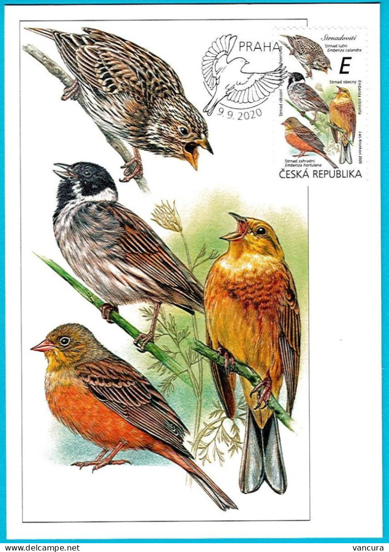 CM 1067-8, 1076-7, 1083-4 Czech Republic 2020 - Songbirds & Tree Dwellers