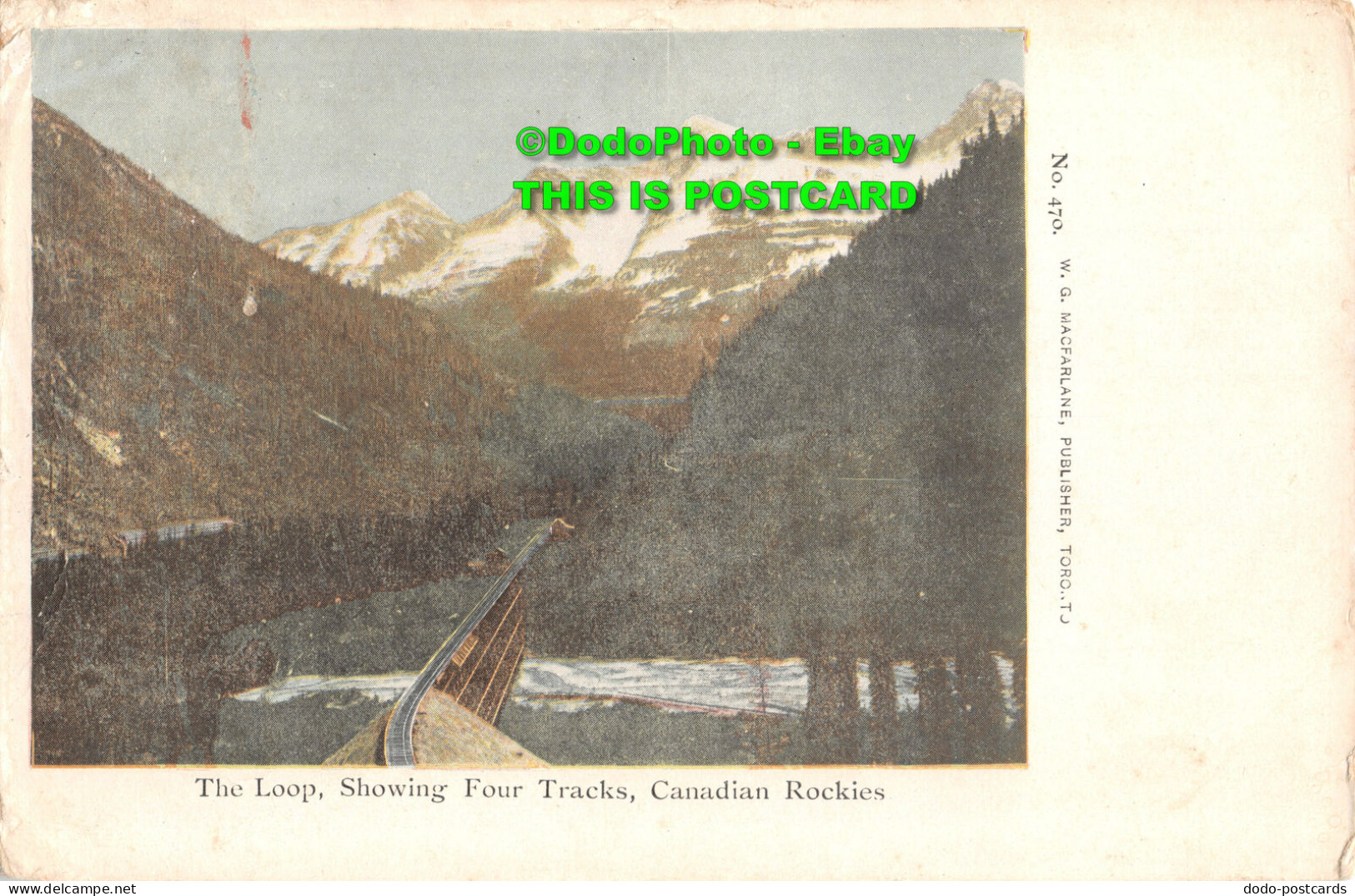 R455379 The Loop. Showing Four Tracks. Canadian Rockies. No. 470. W. G. MacFarla - World