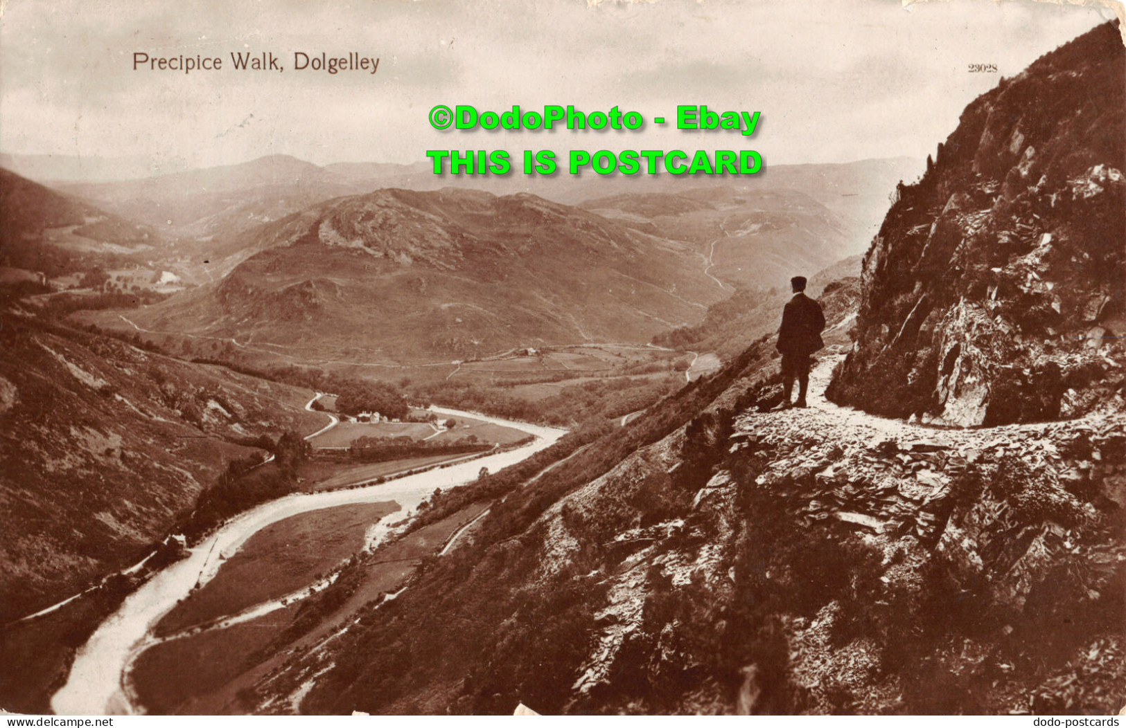 R455282 Precipice Walk. Dolgelley. RP. 1922 - World