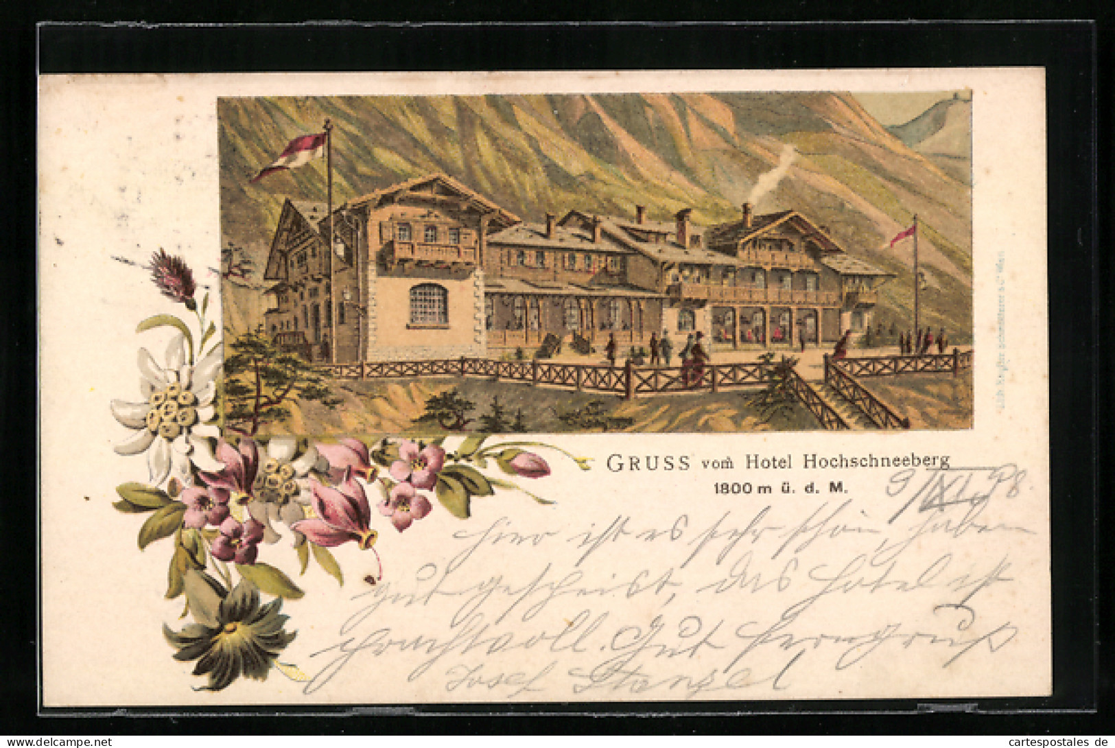 Lithographie Puchberg Am Schneeberg, Hotel Hochschneeberg, Edelweiss  - Autres & Non Classés