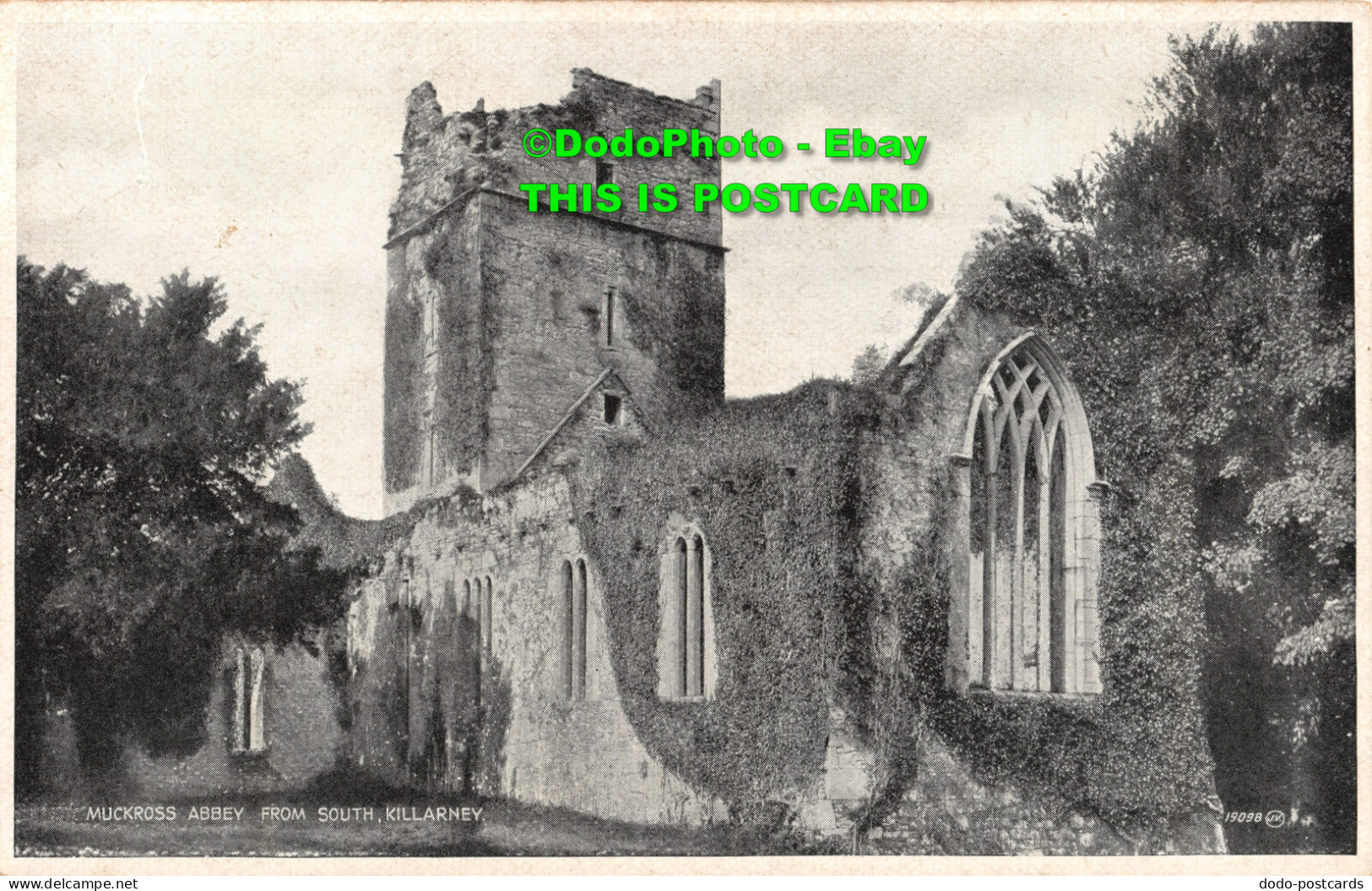 R455311 Muckross Abbey From South. Killarney. 19098. Valentines. Bromotone Serie - World