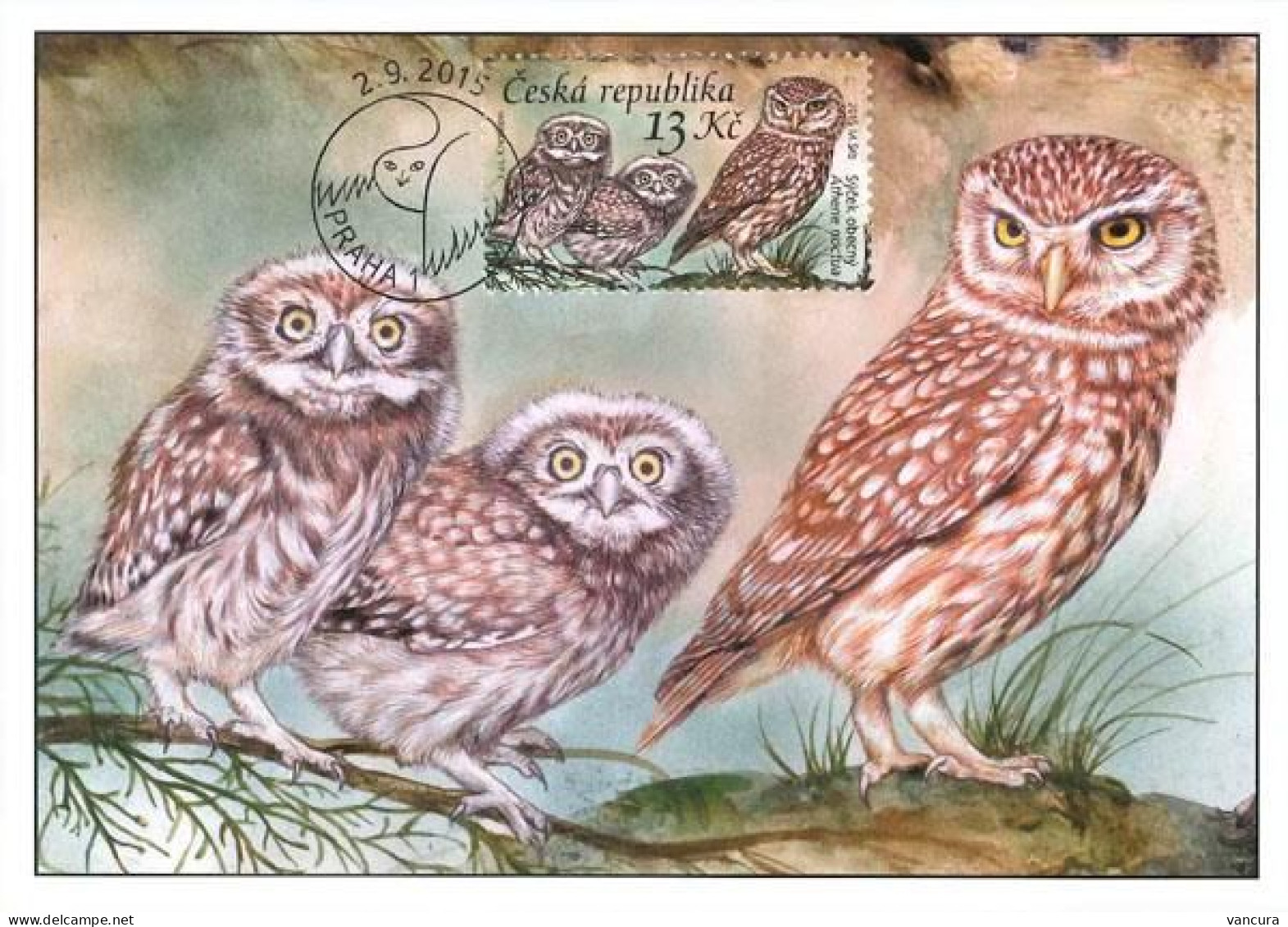 CM 853-6 Czech Republic European Owls 2015 - Hiboux & Chouettes