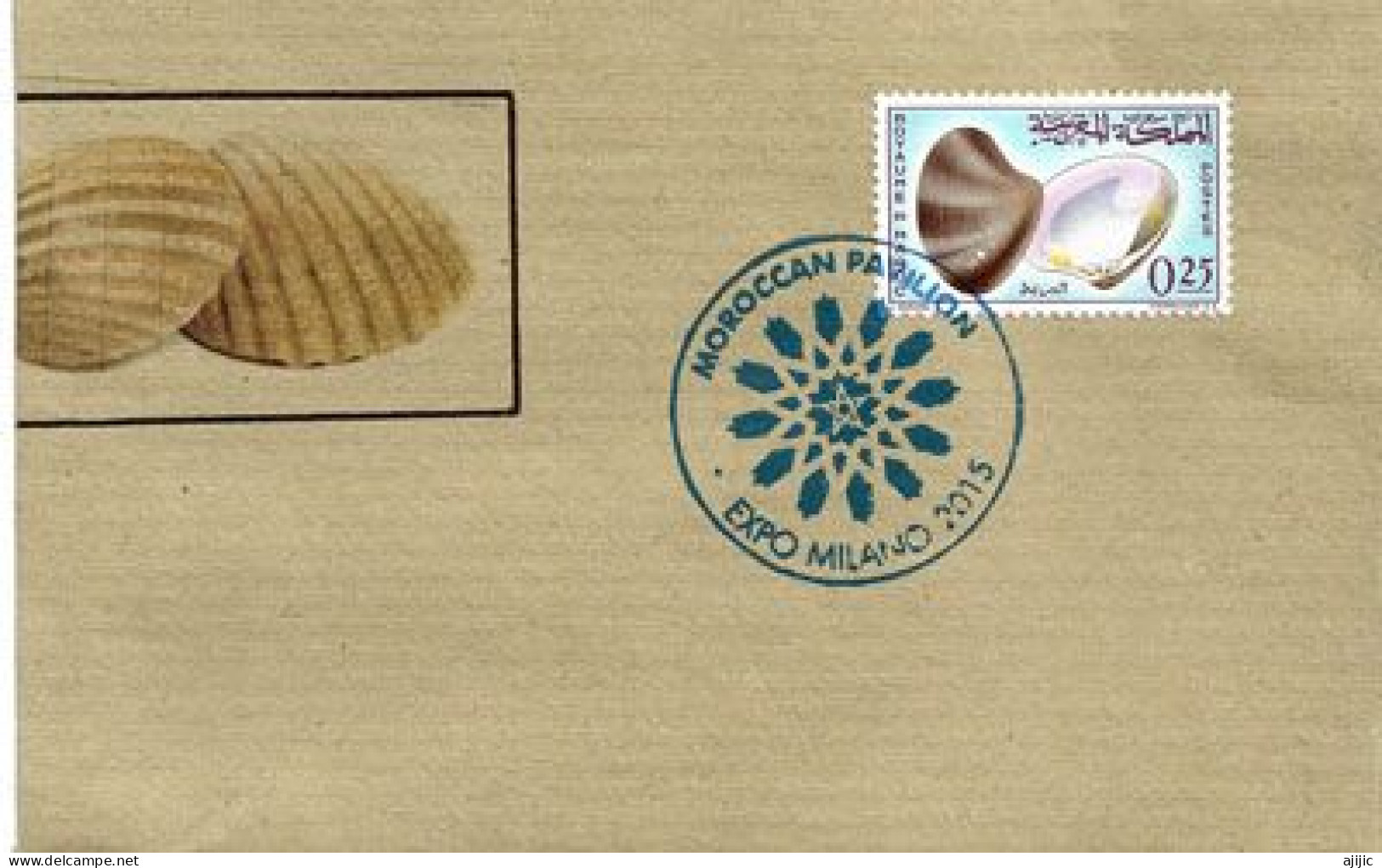 MAROC. Le Vernis  , Coquillage,  Sur Lettre MAROC (Pavillon) Expo Milano - Conchas