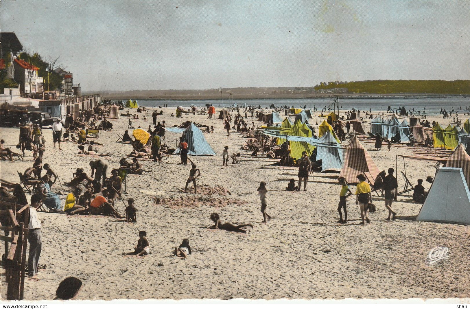 CPSM LE CROTOY LA PLAGE A MAREE BASSE - Le Crotoy