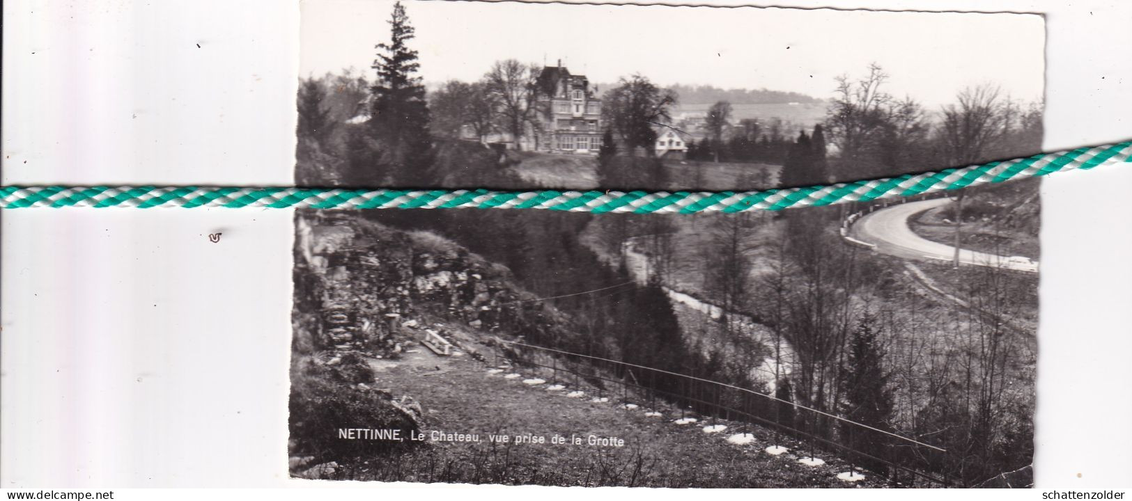 Nettine, Le Chateau, Vue Prise De La Grotte, Carte Photo - Somme-Leuze