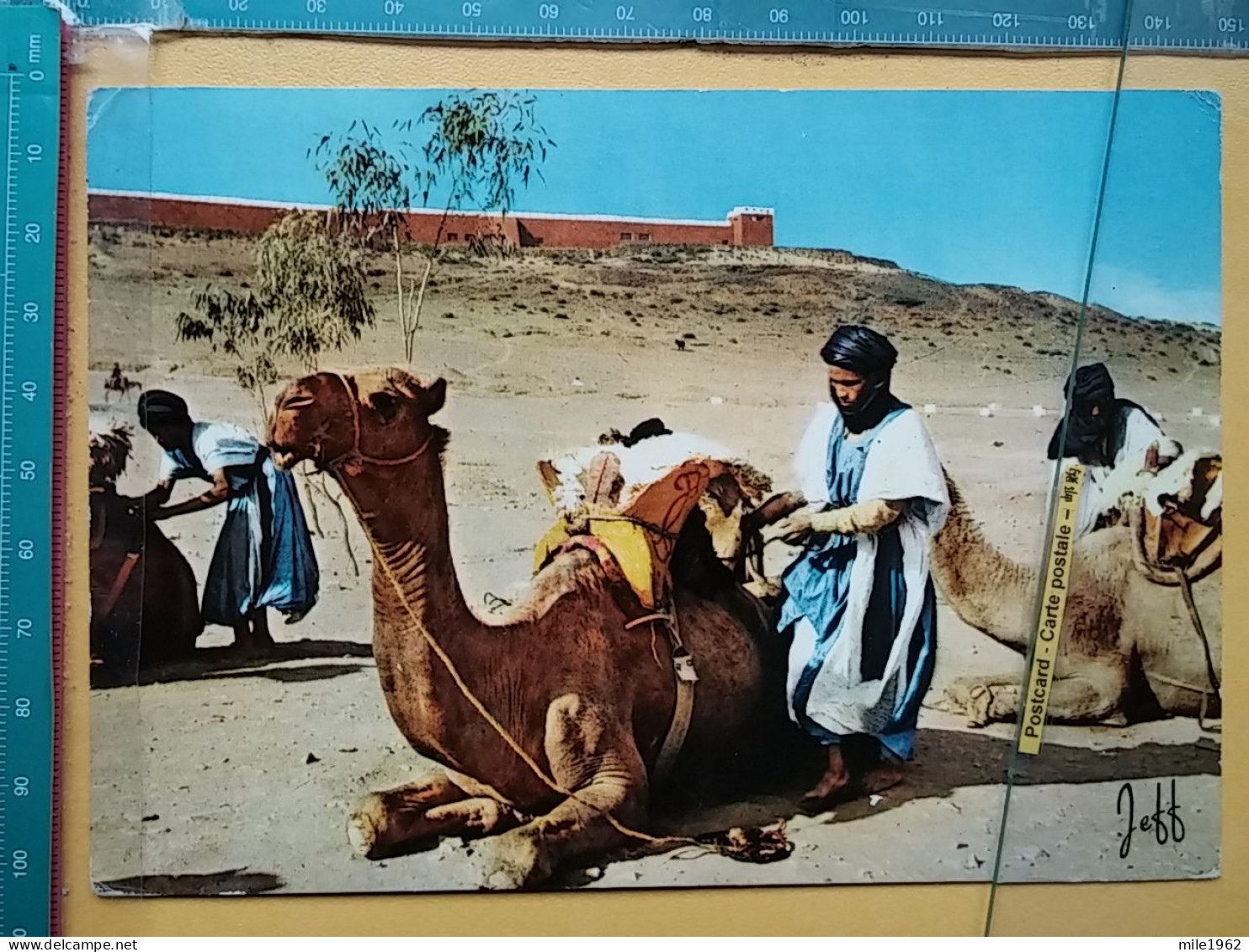 KOV 506-45 - CHAMEAU, CAMEL, MAROC - Sonstige & Ohne Zuordnung