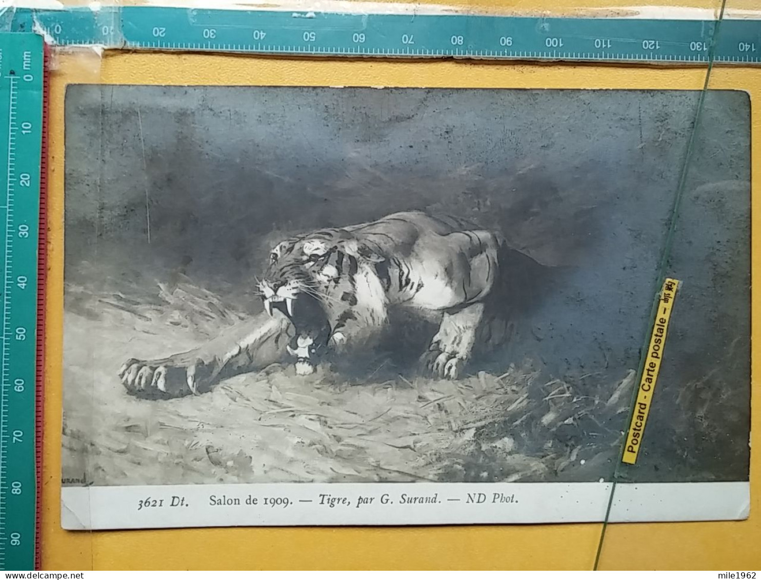 KOV 506-38 - Tiger, Tigre ,  - Tigers