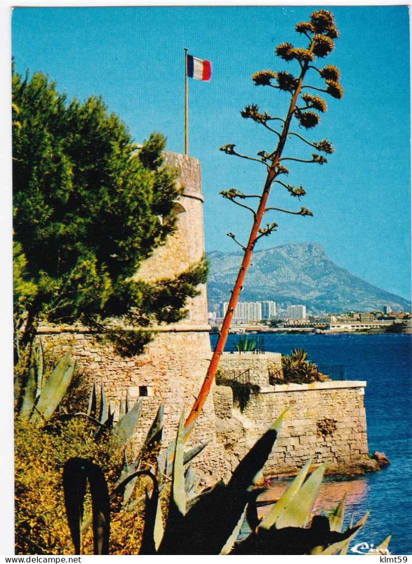 La Seyne-sur-Mer - Tamaris - Musée Naval De Fort Balaguier - La Seyne-sur-Mer