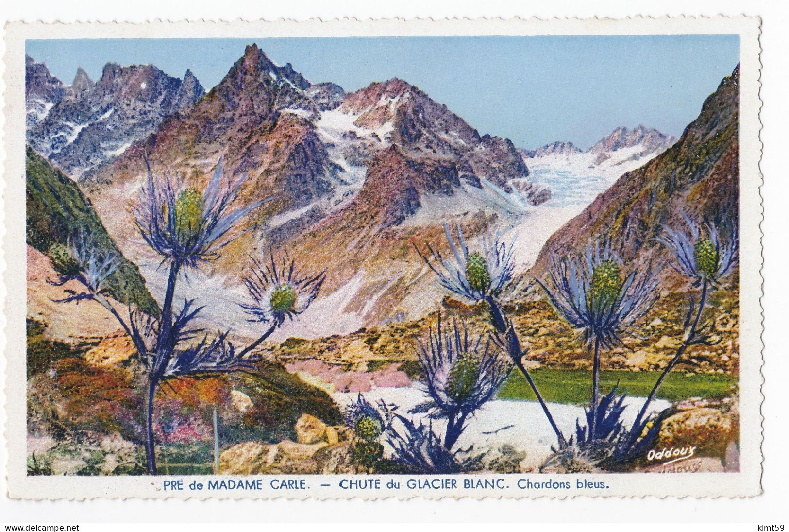 Pré De Madame Carle - Chute Du Glacier Blanc - Other & Unclassified