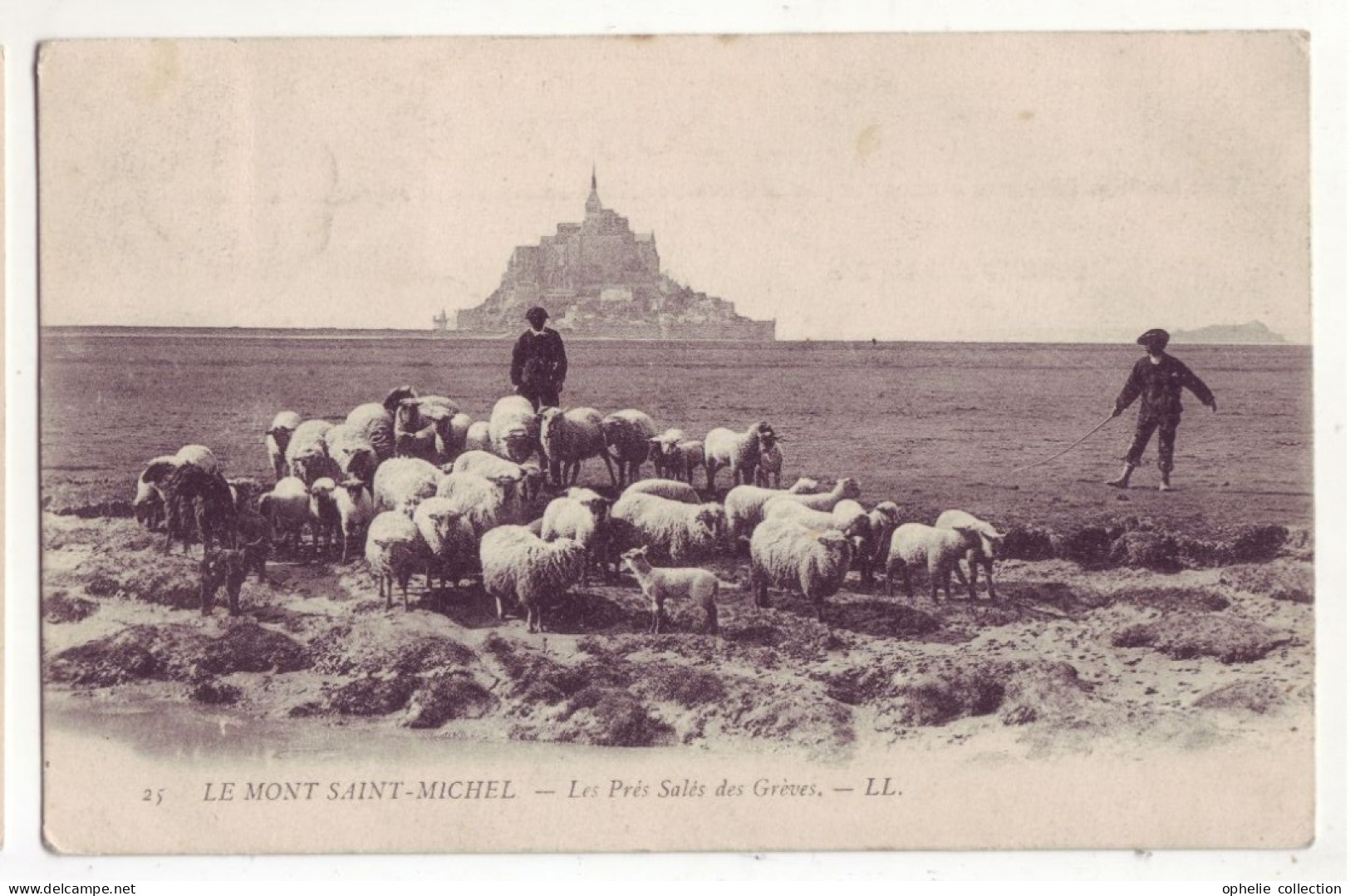 France - 50 - Le Mont Saint-Michel - Les Prés Salés Des Grèves - 7090 - Le Mont Saint Michel