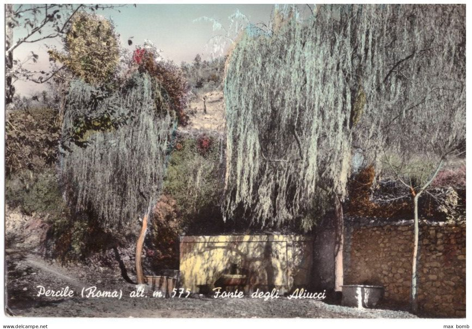 1959 PERCILE   FONTE DEGLI ALIUCCI          ROMA - Autres & Non Classés