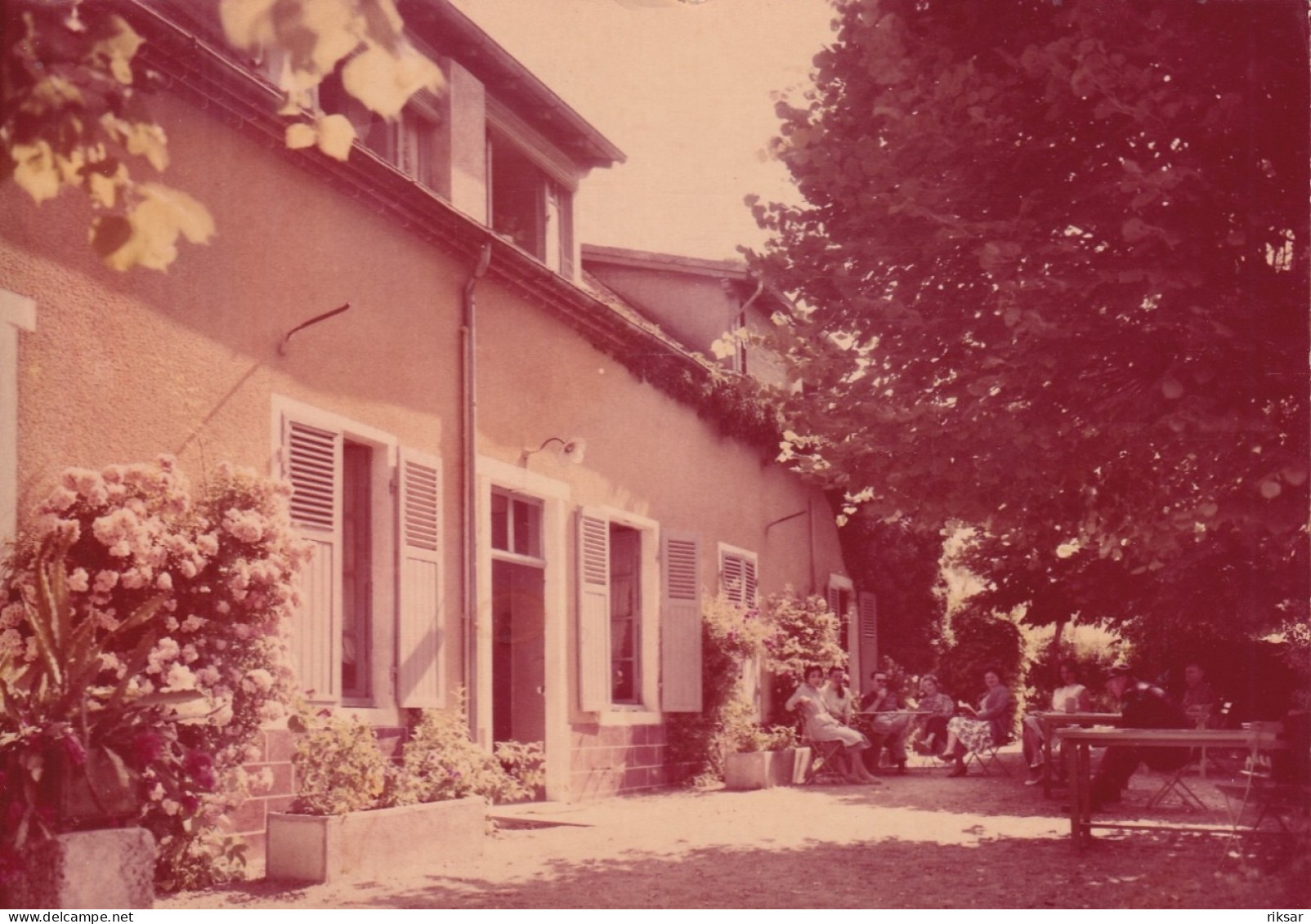 CHAVROCHES(HOTEL LES TILLEULS) - Andere & Zonder Classificatie