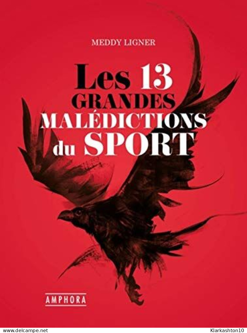 Les 13 Grandes Maledictions Du Sport - Other & Unclassified