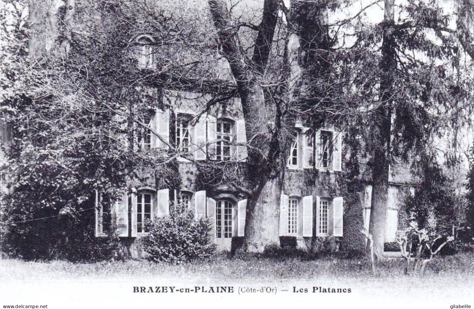 21 - Cote D Or - BRAZEY En PLAINE - Les Platanes - Other & Unclassified