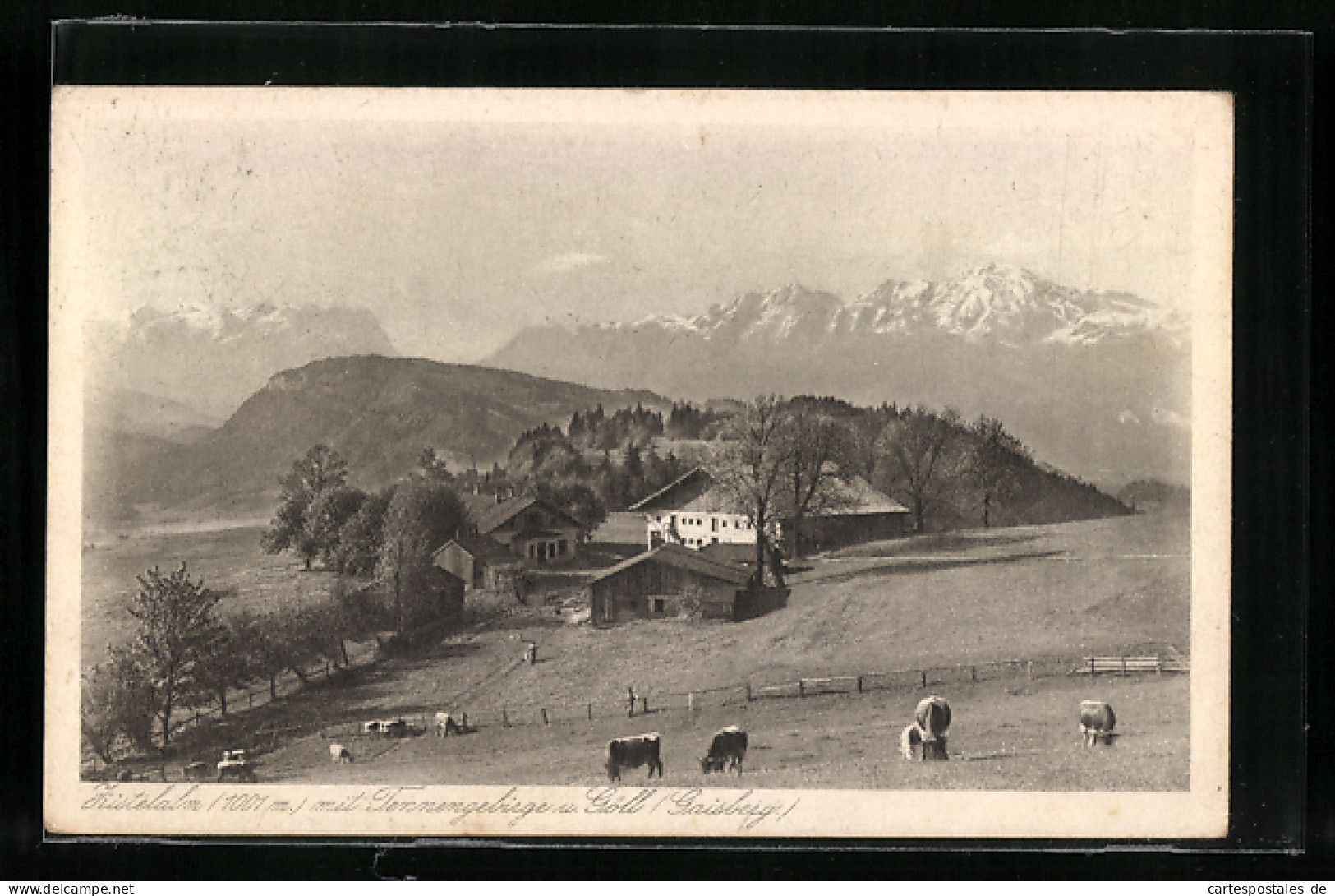 AK Gaisberg, Zistelalm Mit Tennengebirge  - Sonstige & Ohne Zuordnung