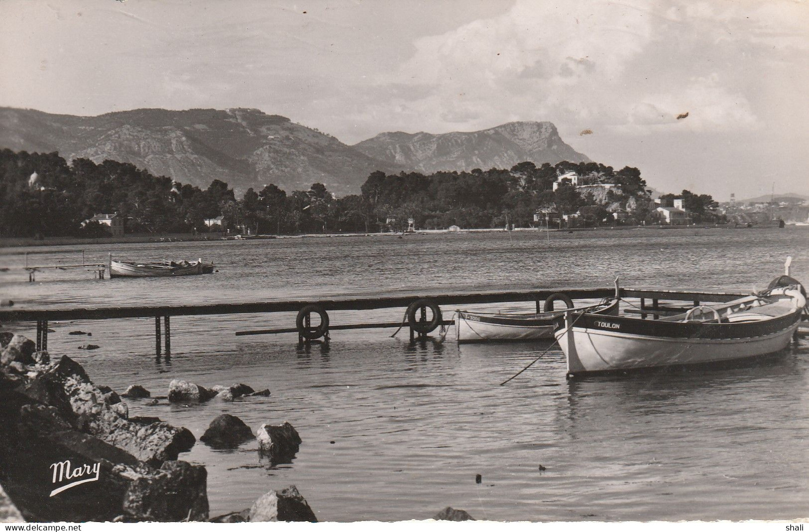 CPSM LA SEYNE SUR MER TAMARIS LE FARON ET LE COUDON - Tamaris