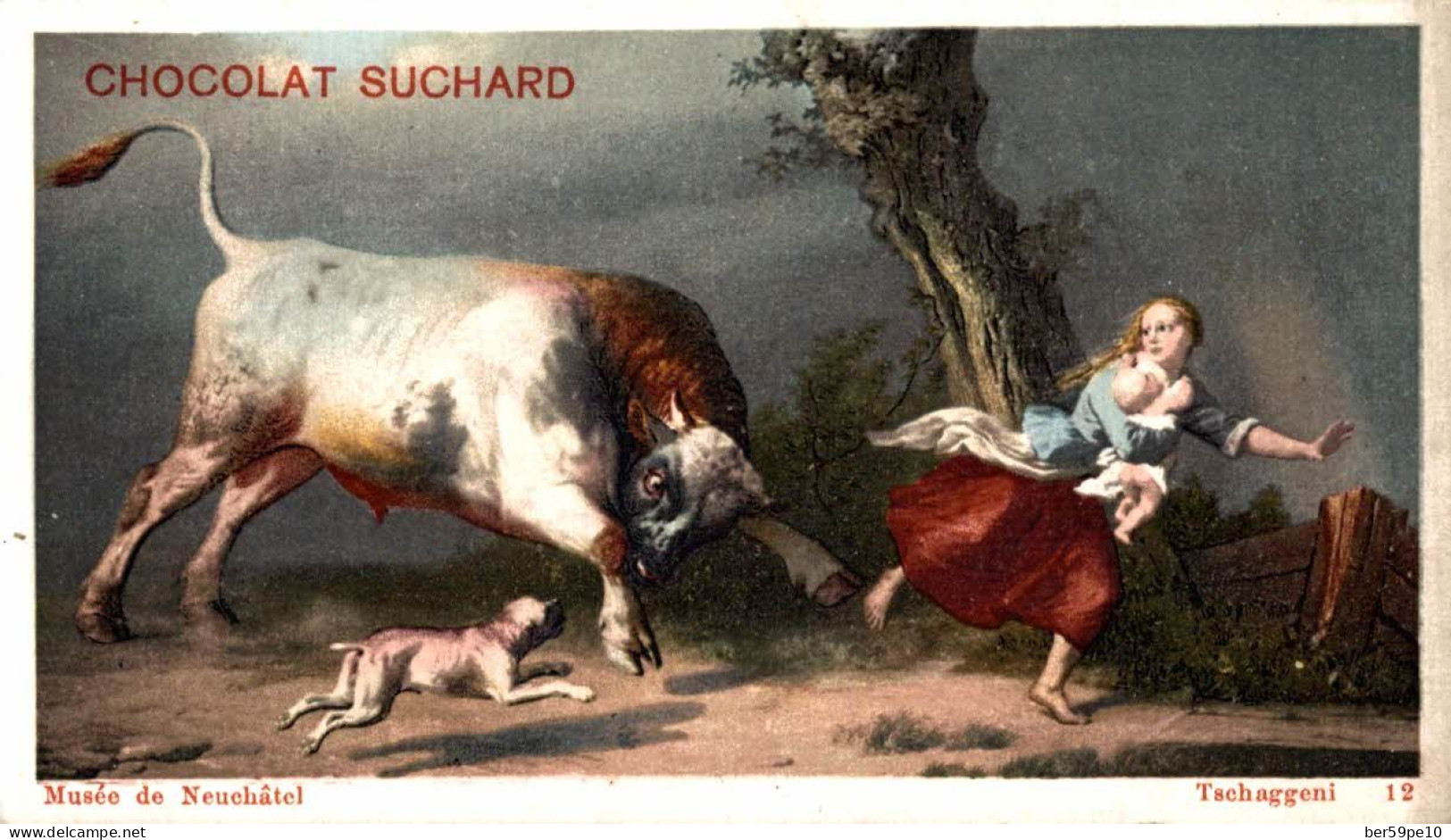 CHROMO CHOCOLAT SUCHARD MUSEE DE NEUCHATEL TSCHAGGENI N°12 LE TAUREAU - Suchard