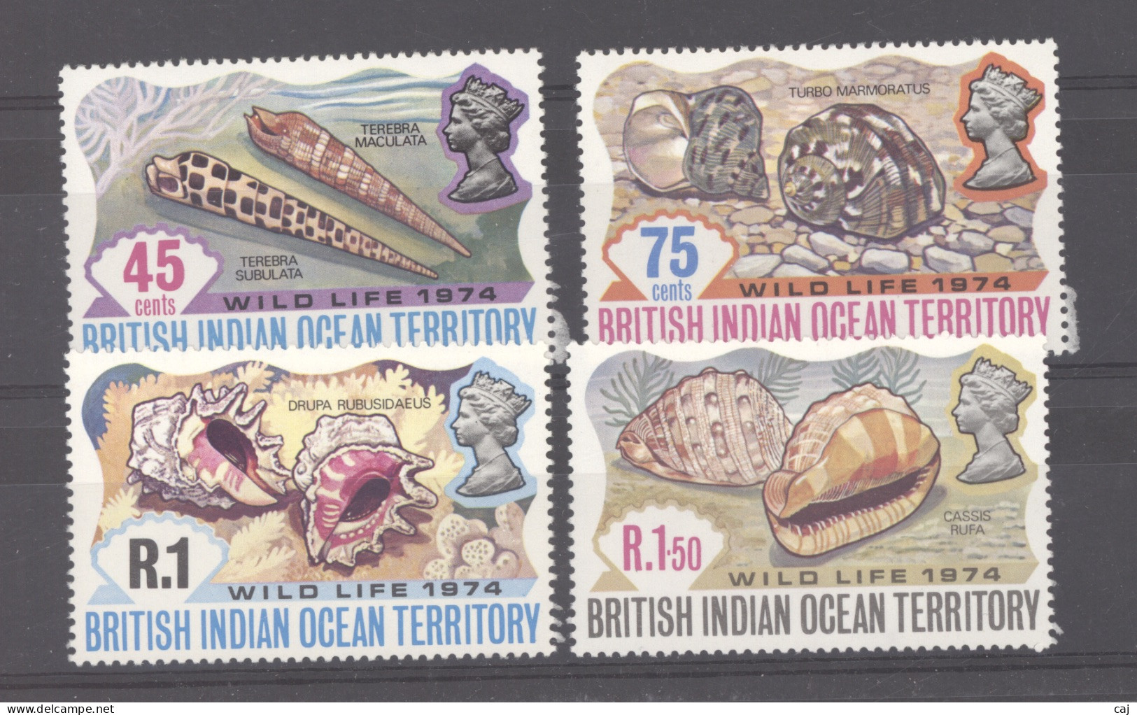 Ocean Indien  :  Yv  59-62  **  Coquillages - Other & Unclassified