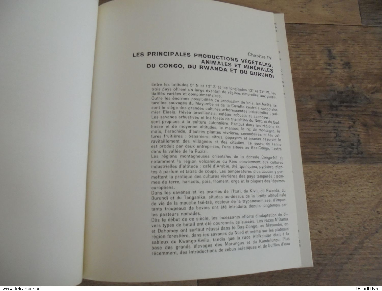 ROCHEFORT ET LE CONGO Régionalisme Famenne Exposition Catalogue Art Africain Afrique James Thiriar Sculpture Masque