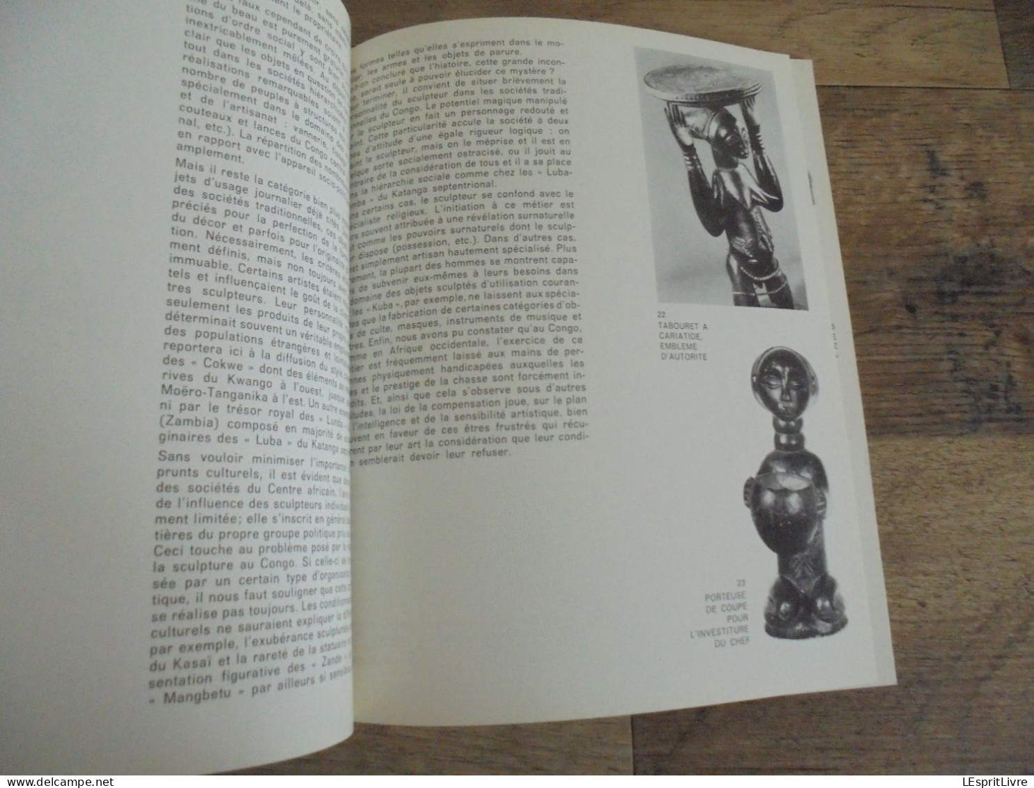 ROCHEFORT ET LE CONGO Régionalisme Famenne Exposition Catalogue Art Africain Afrique James Thiriar Sculpture Masque