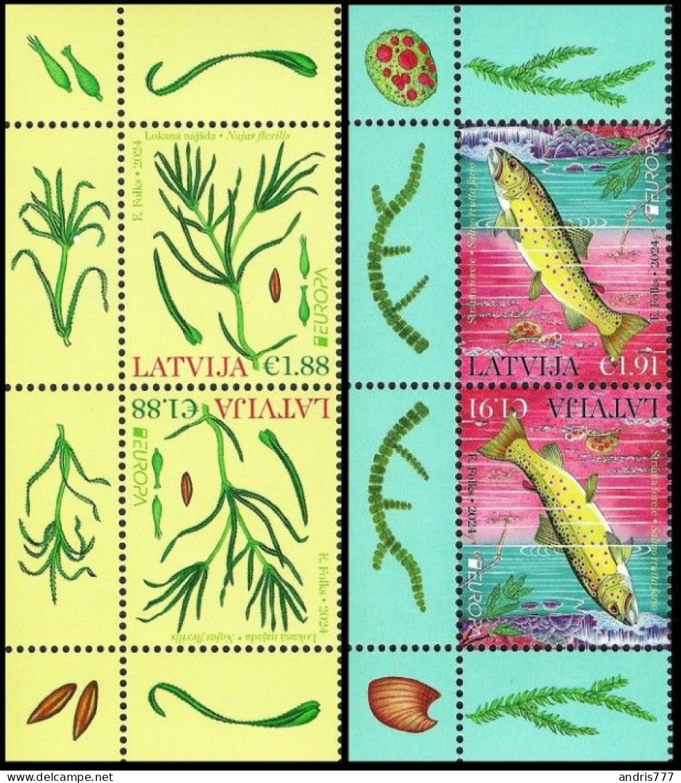 Latvia Lettland Lettonie 2024 (07) Europa - Underwater Flora And Fauna - Fish - Trout (t-b Pairs) - Lettland