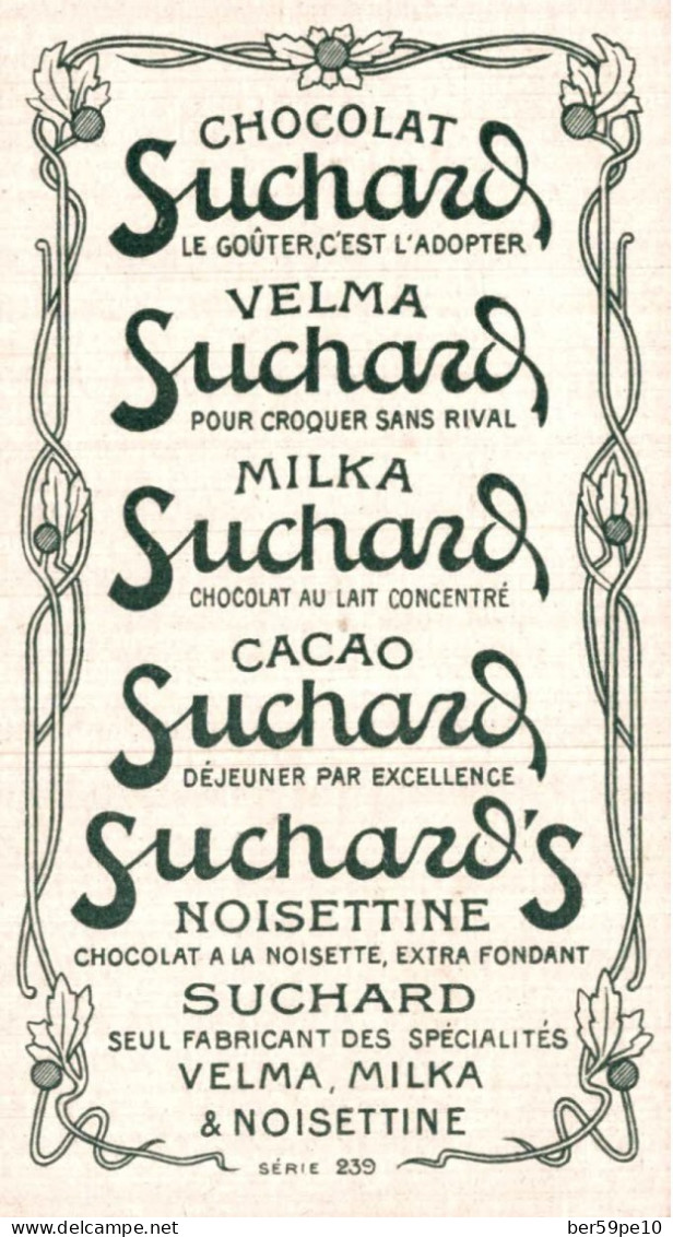 CHROMO CHOCOLAT MILKA SUCHARD LES PAPILLONS N°6 PARAGE ROXELANA (HONGRIE) - Suchard