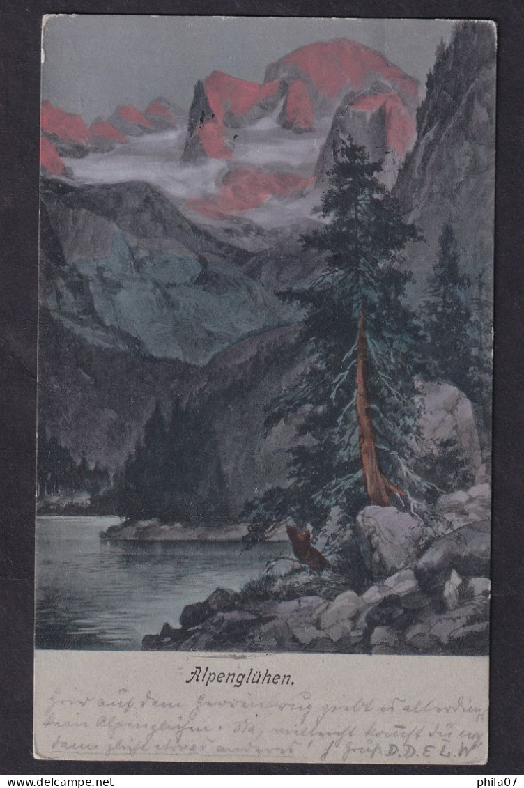 Alpengluhen / Year 1903 / Long Line Postcard Circulated, 2 Scans - Malerei & Gemälde