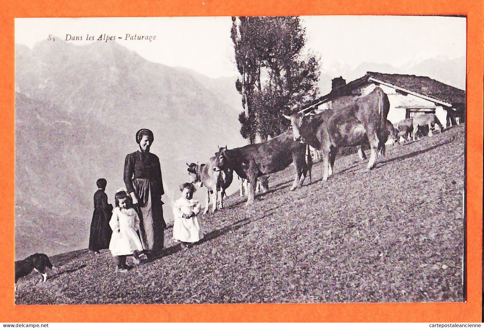 05432 / ⭐ (•◡•) ◉ Dans ALPES PATURAGE Troupeau Vaches Alpages Femme Fillettes Endimanchées REYNAUD 83 Col. LA PLUS BELLE - Viehzucht