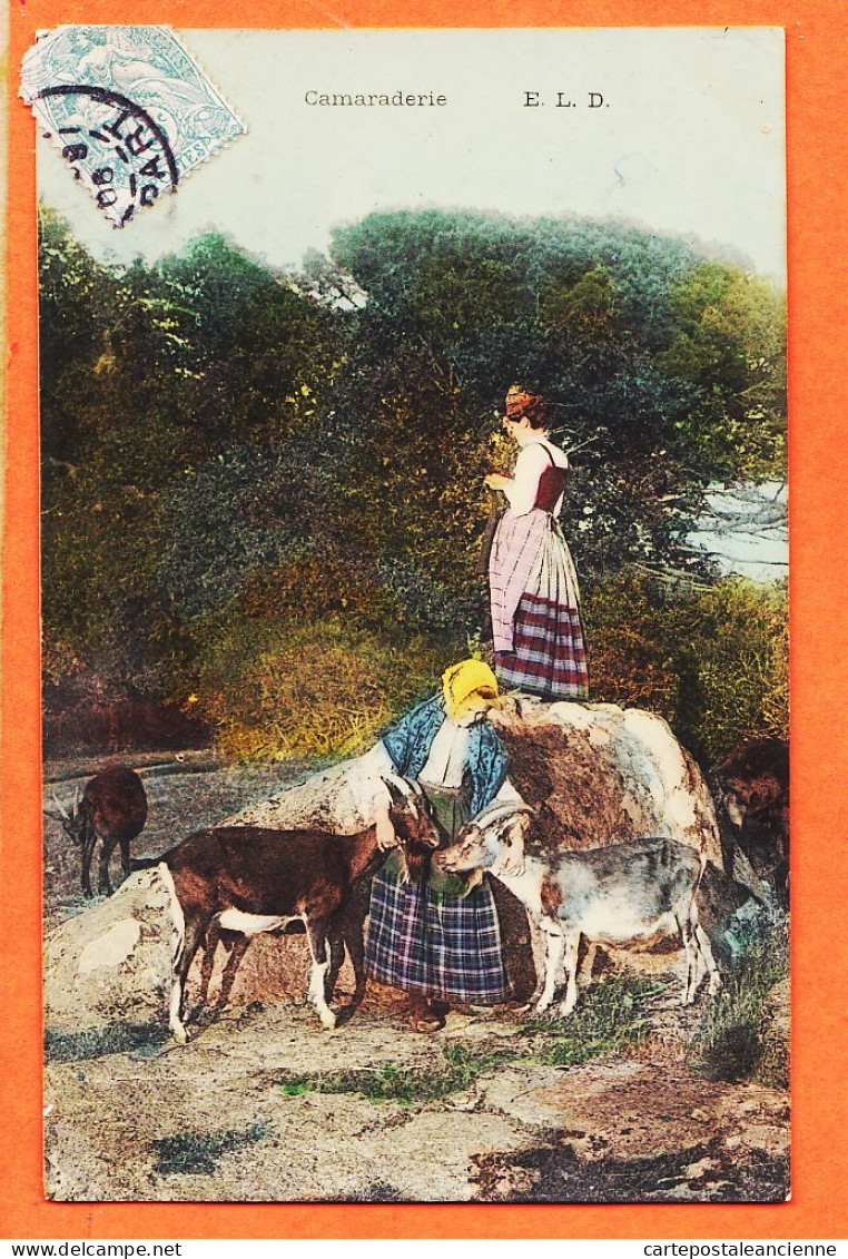 05471 / Vie Paysanne Chevrière Gardienne Chèvres CAMARADERIE 1906 à GOHIER Villa Tambourin Noirmoutier E.L.D LE DELEY - Elevage