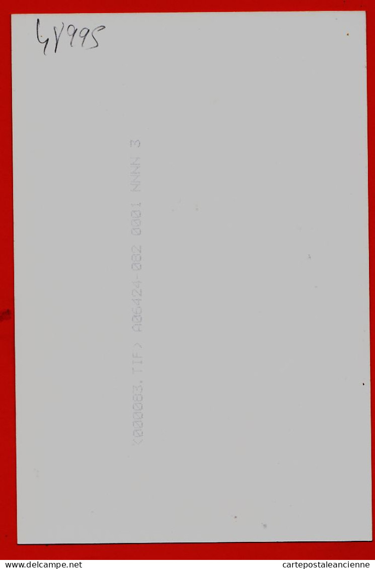 05247 / ⭐ ◉ SYLVIE VARTAN 1990s Vacances Chapeau Paille Décolleté Plongeant Photographie Sur Papier Photo 10x15cm - Sänger Und Musikanten