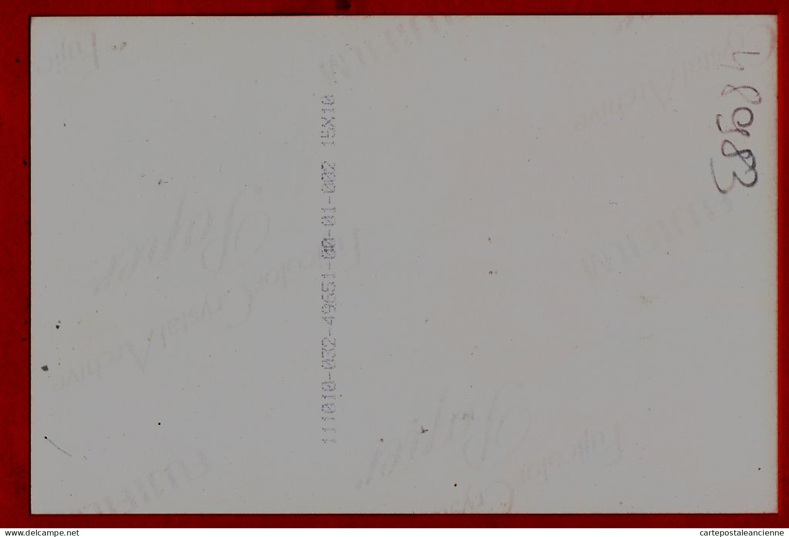 05234 ● SYLVIE VARTAN Tee-shirt Aigle Américain 1985s Photographie Sur Papier Fujifilm 10x15cm - Singers & Musicians