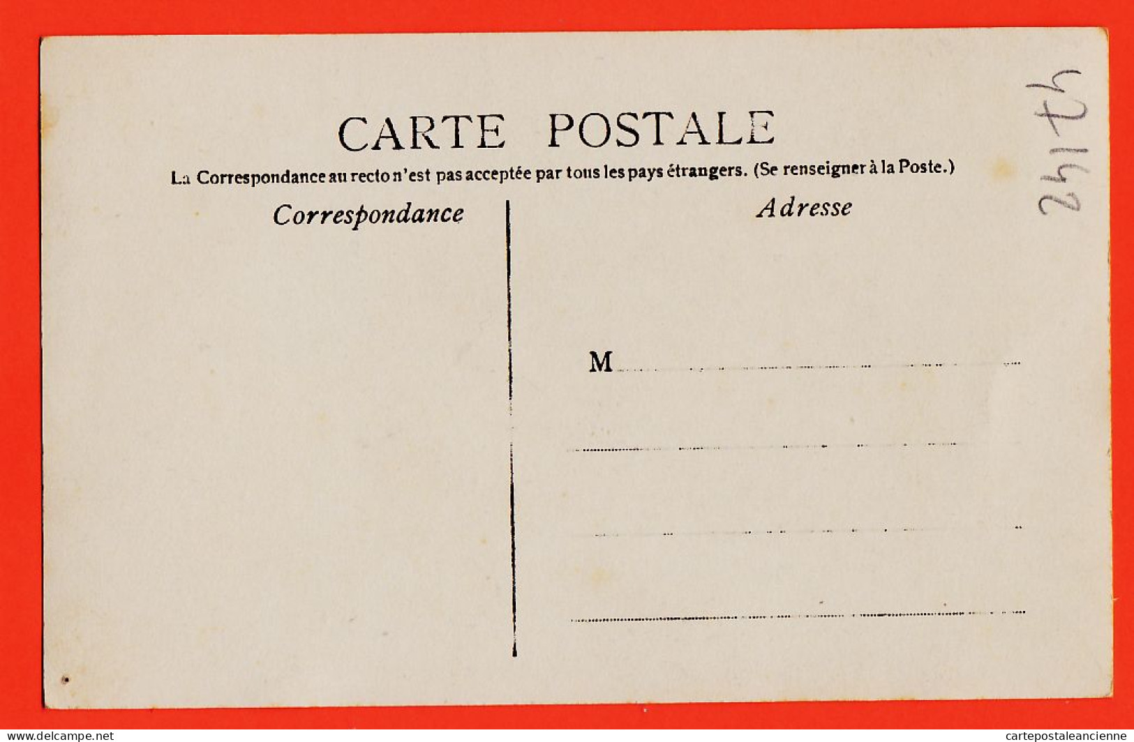 05467 / Carte-Photo  Troupeau De Vaches Et Son Veau Broutant Paturage Cpagr 1900s  - Viehzucht