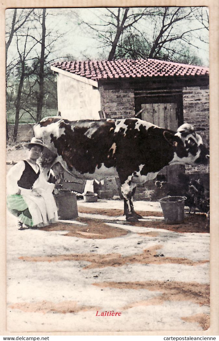 05460 / Peu Commun  Carte-Photo LAITIERE Paysanne Fermière La Traite Vache Race Normande Normandie 1910s Cpagr - Campesinos