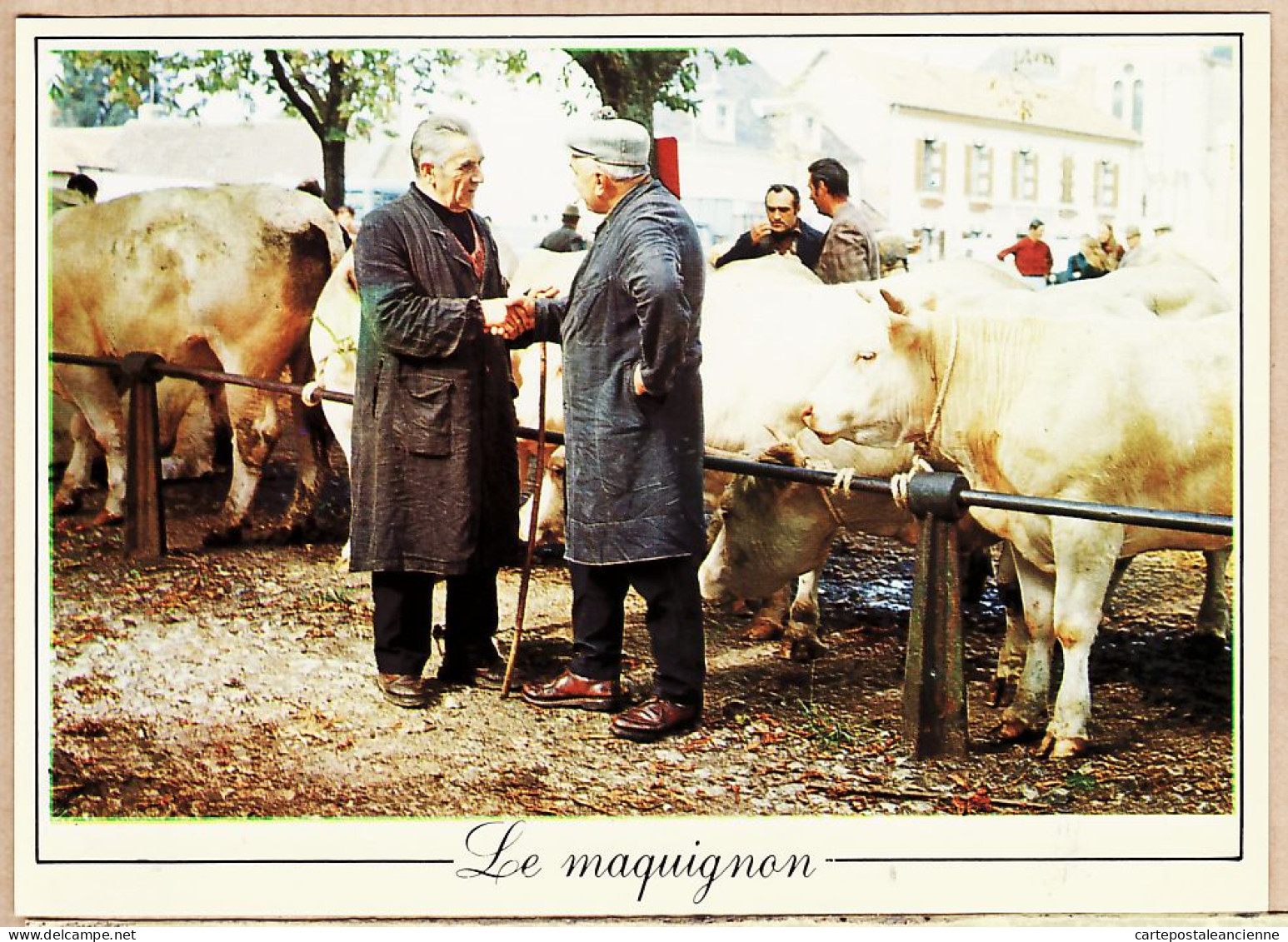05457 / Nievre Le MAQUIGNON Marché Aux Boeufs Cpagr1980s - METIERS ANTAN Ed. Nivernaises COSNE COURS Sur LOIRE N°28 - Paysans