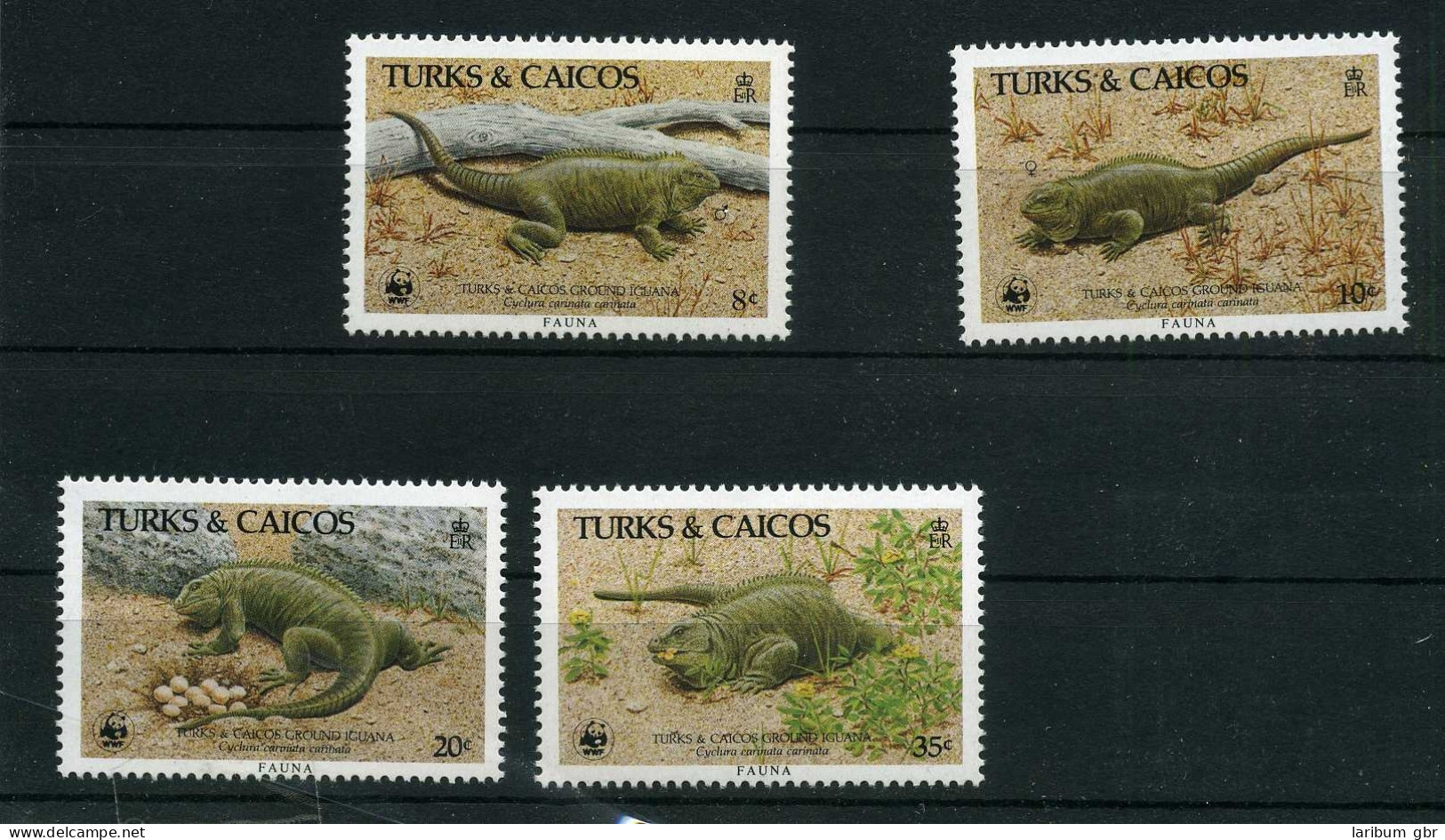 Turks Und Caicos 777-80 Postfrisch Leguan WWF #IS814 - Turks & Caicos (I. Turques Et Caïques)