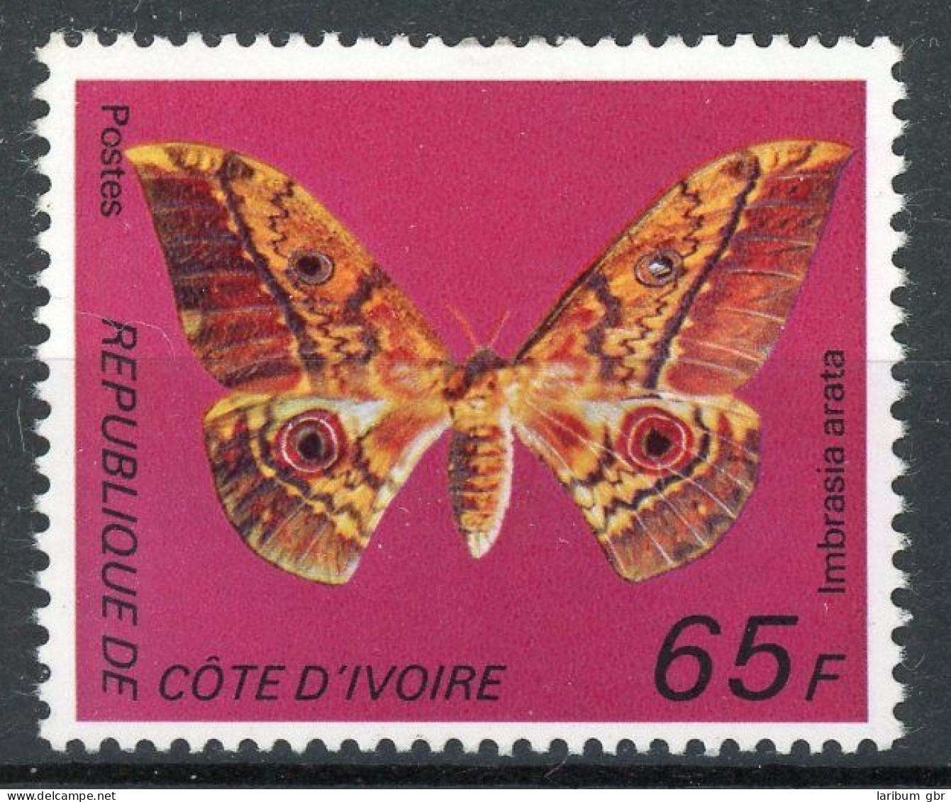 Elfenbeinküste 529 Postfrisch Schmetterling #JT792 - Ivory Coast (1960-...)