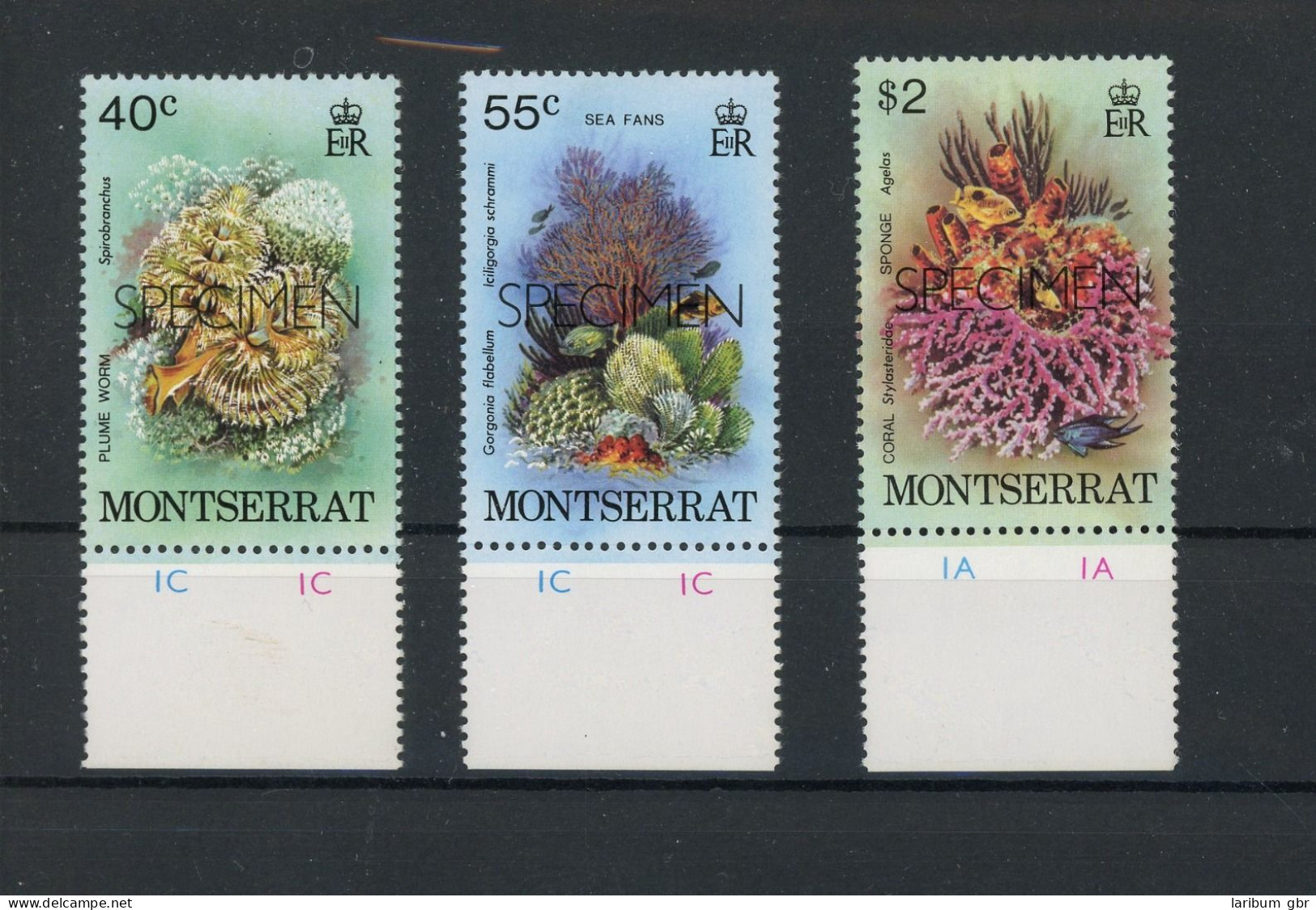 Montserrat 410-413 + Aufdruck "SPECIMEN" Postfrisch Meerestiere #IJ450 - Anguilla (1968-...)