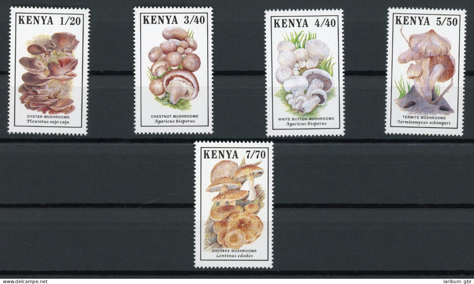 Kenia 486-490 Postfrisch Pilze #IF498 - Kenia (1963-...)