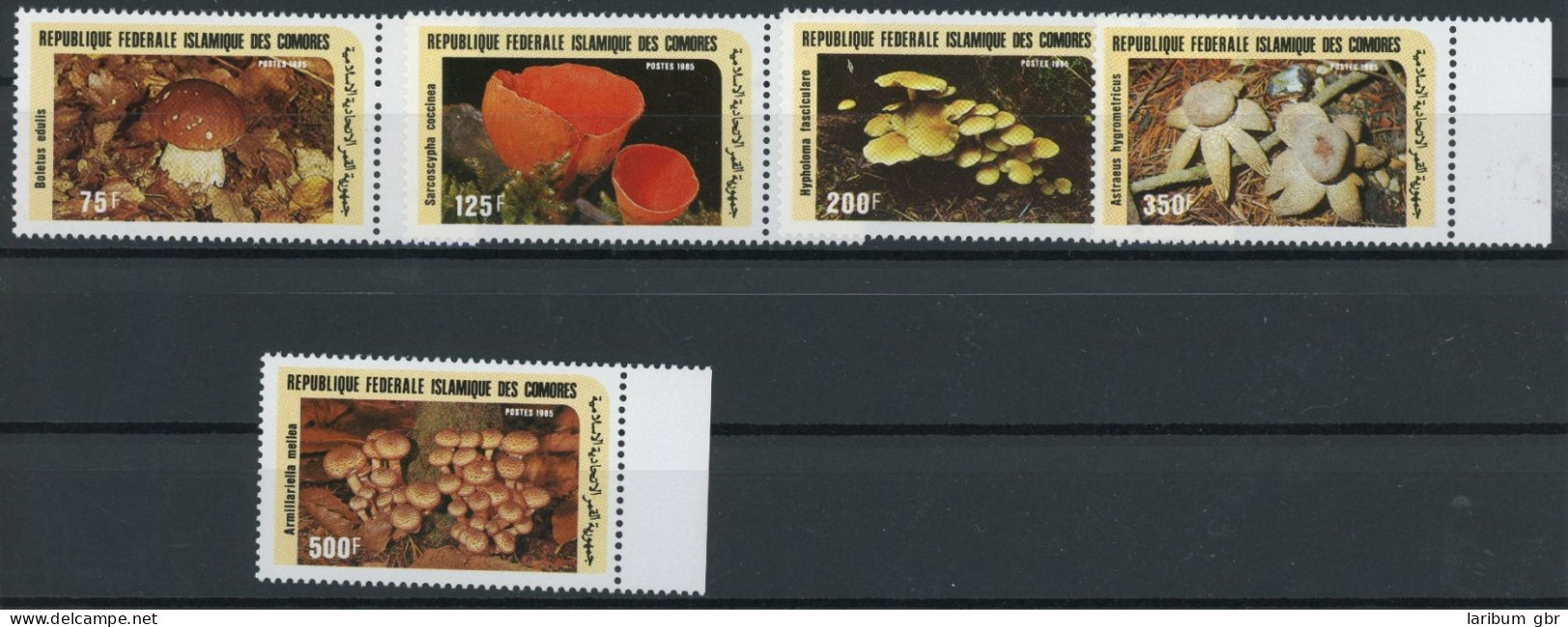 Komoren 762-66 Postfrisch Pilze #HE777 - Komoren (1975-...)