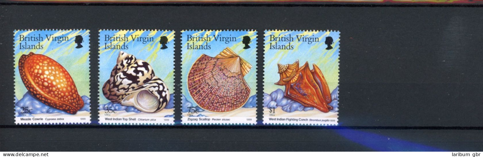 Jungferninseln 972-975 Postfrisch Muscheln #JQ885 - Anguilla (1968-...)